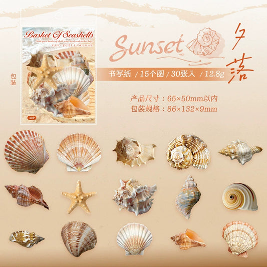 #20408 Shell Series Sticker