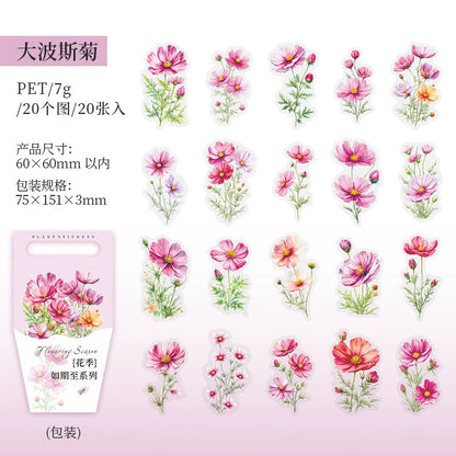 J1#20942 PET Sticker