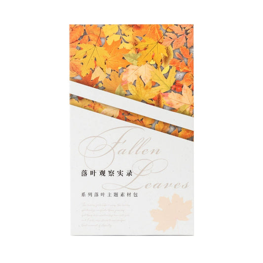 #20089 Autumn Leaves Series Sticker/Paper Pack