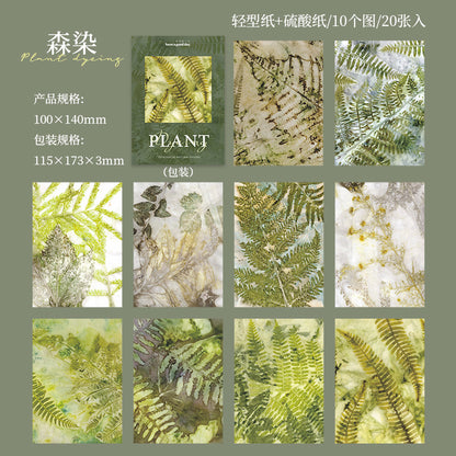 #20381 Greenery Series Paper