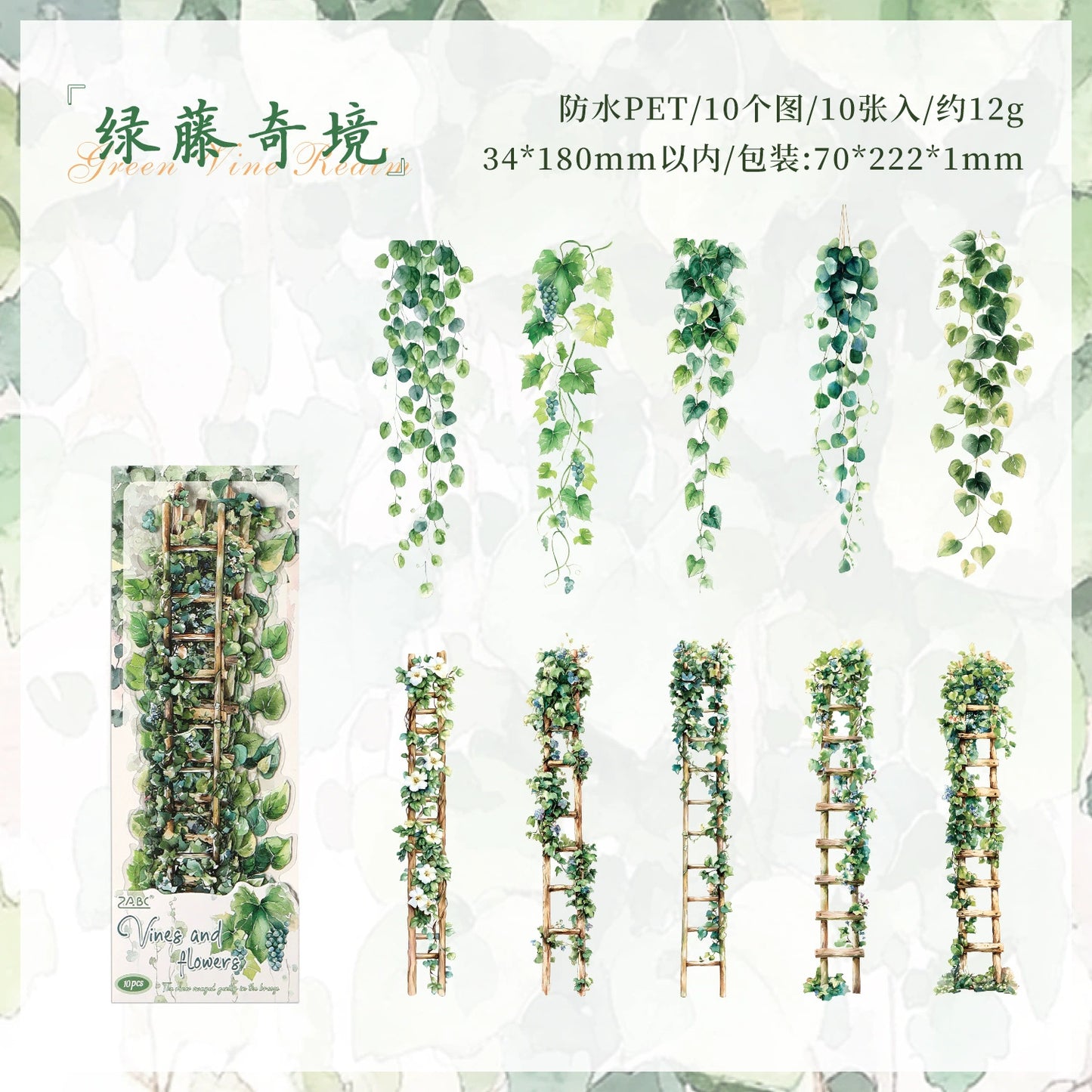 #20250 Flower Strip Series Sticke