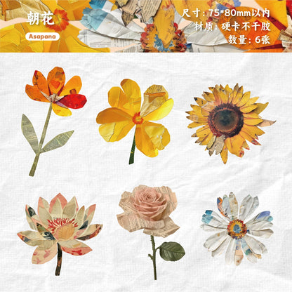 #20535 Nature Magazine Series Sticker