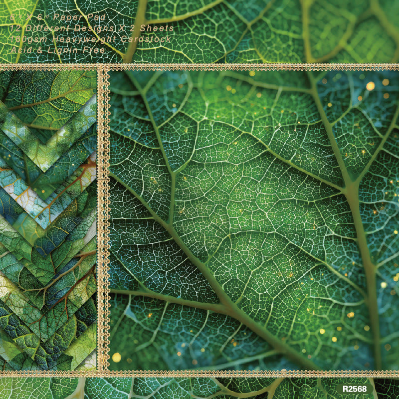 BF#38 6"*6" Square Paper