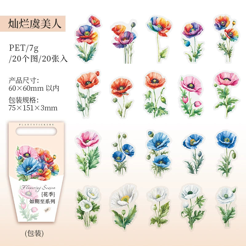 J1#20942 PET Sticker