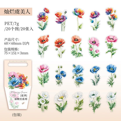 J1#20942 PET Sticker