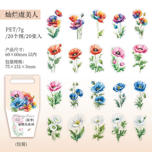 J1#20942 PET Sticker
