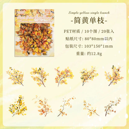 H5#20211 PET Sticker
