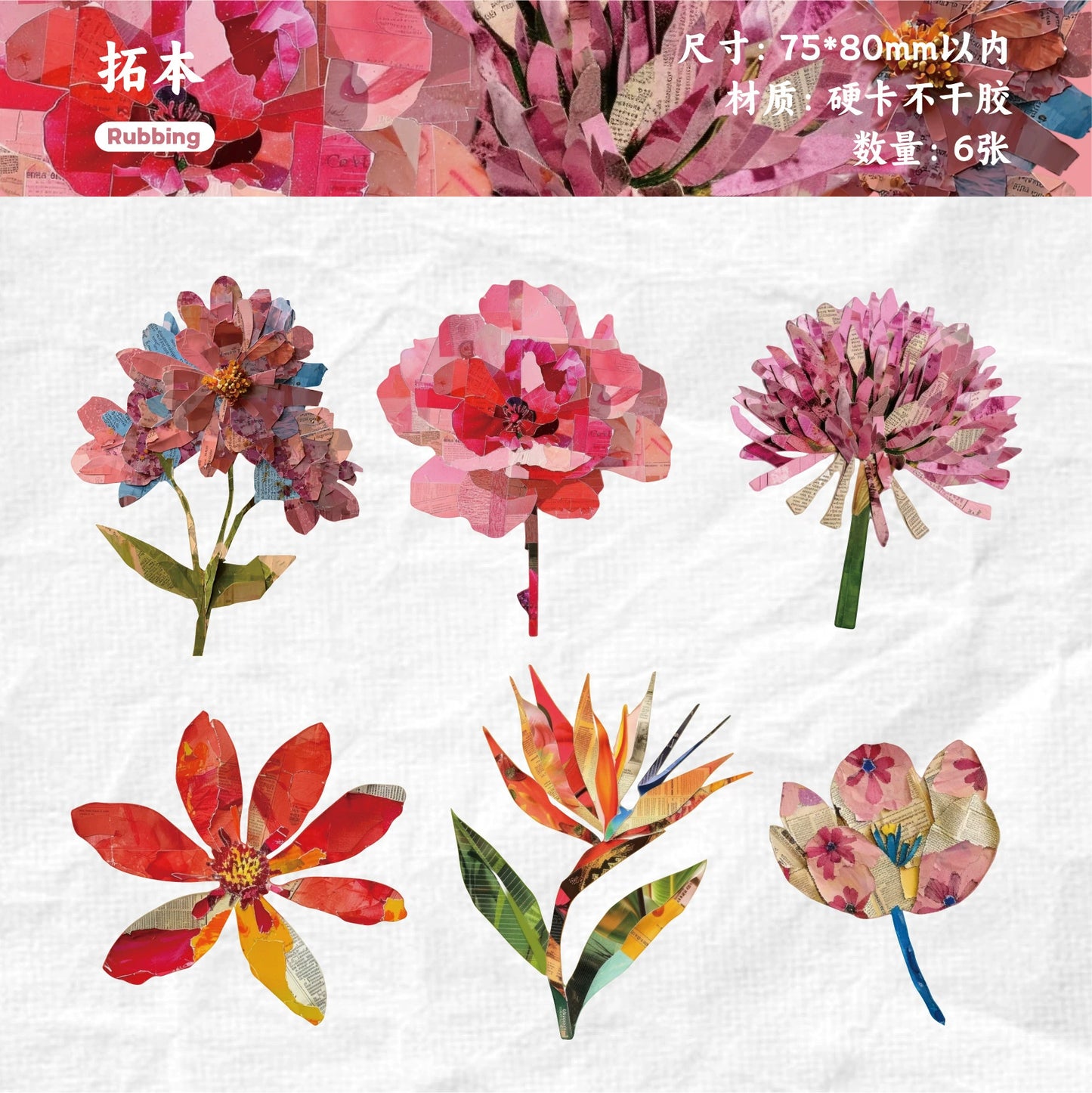 #20535 Nature Magazine Series Sticker