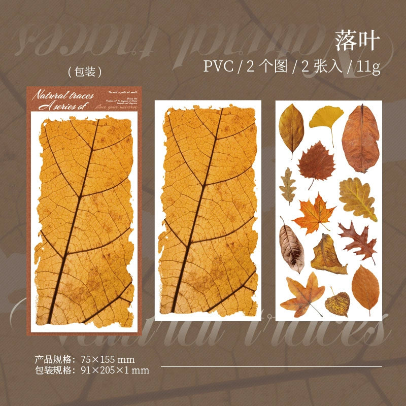 #20279 Greenery Series Transfer Sticker