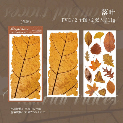 #20279 Greenery Series Transfer Sticker