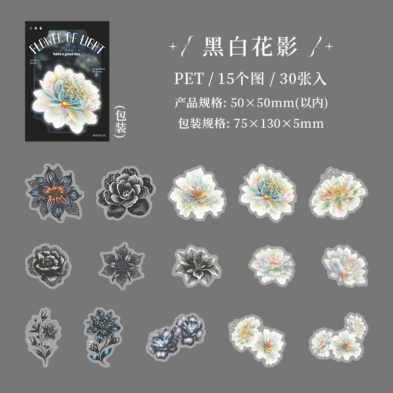B1#21017 PET Sticker