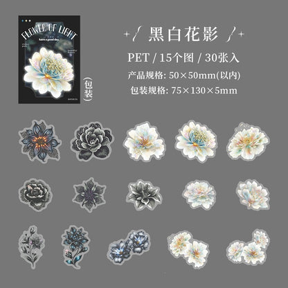 B1#21017 PET Sticker