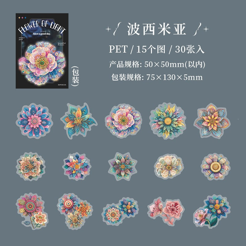 B1#21017 PET Sticker