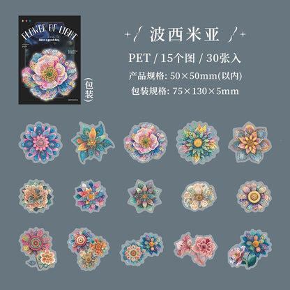B1#21017 PET Sticker
