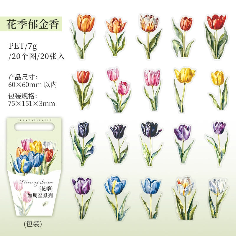 J1#20942 PET Sticker