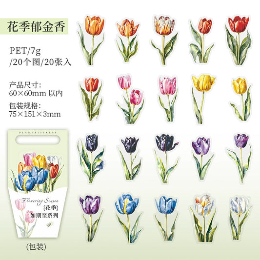 J1#20942 PET Sticker