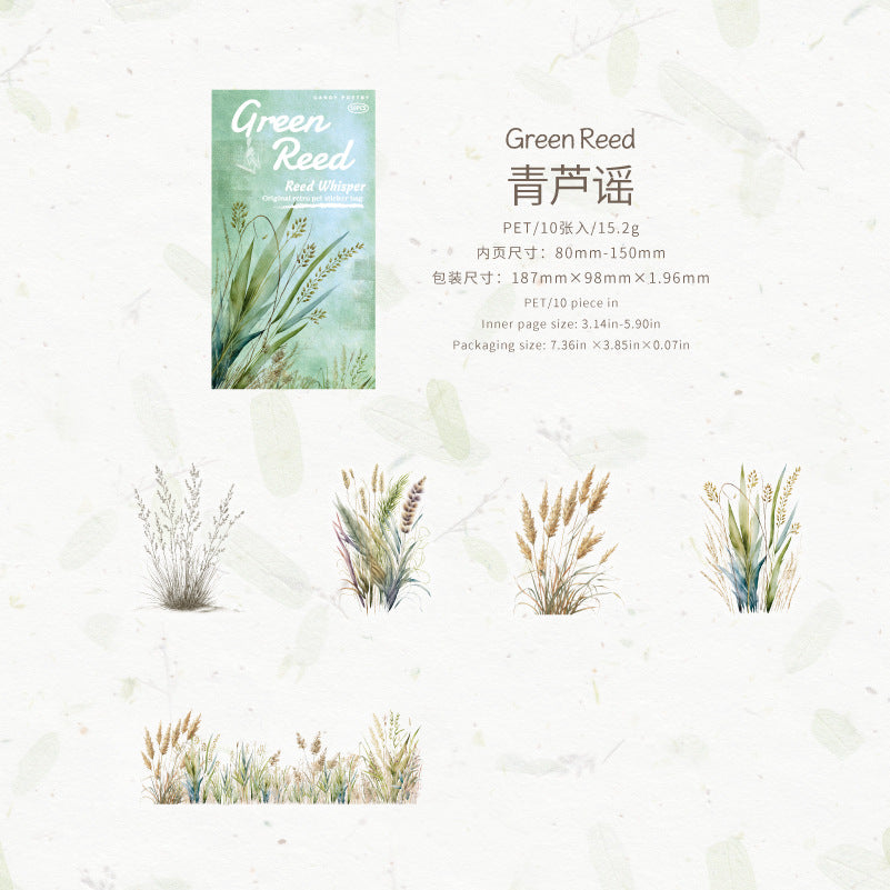 #20281 Reed Series Sticker