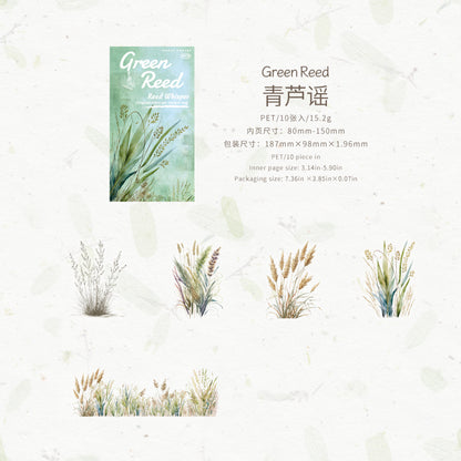 #20281 Reed Series Sticker