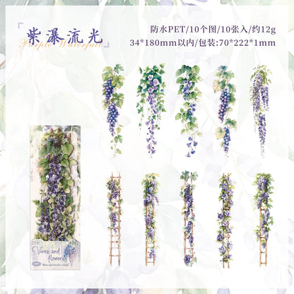 #20250 Flower Strip Series Sticke