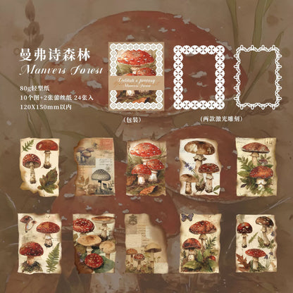 #20681 Paper