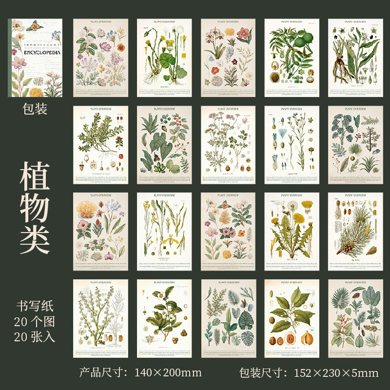 #20179 Encyclopedia Series Sticker Book