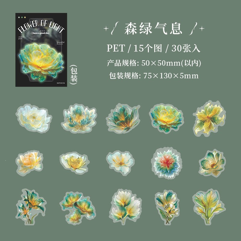 B1#21017 PET Sticker