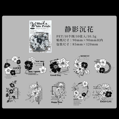 #20824 PET Sticker