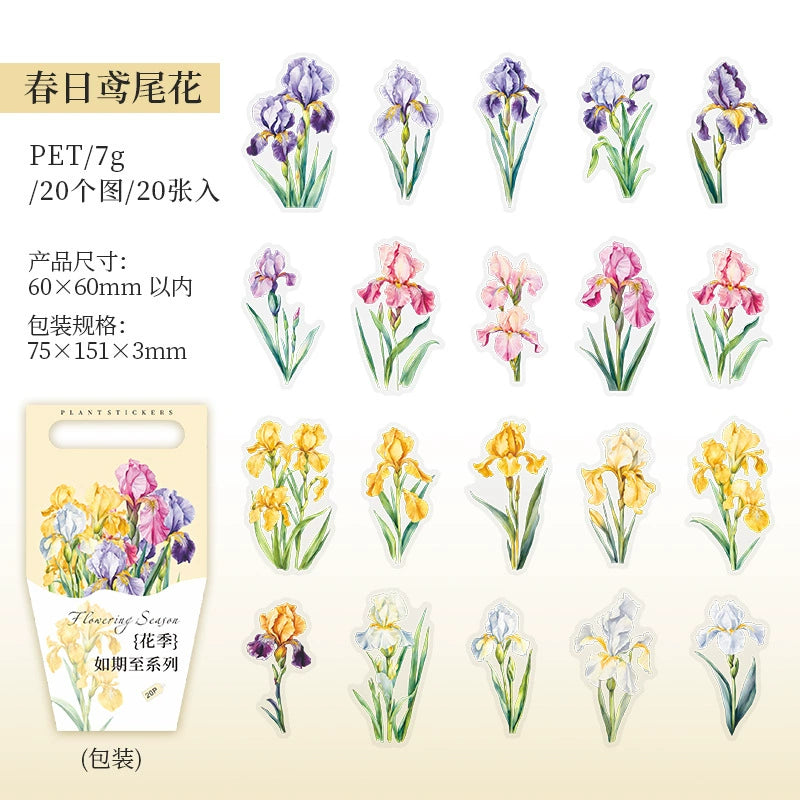 J1#20942 PET Sticker