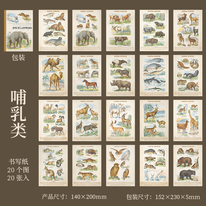 #20179 Encyclopedia Series Sticker Book