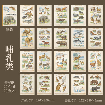 #20179 Encyclopedia Series Sticker Book