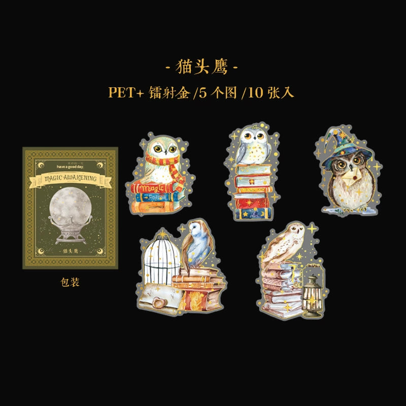 C1#20687 PET Sticker