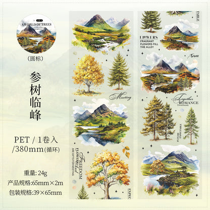 d6#30204 Regular Tape
