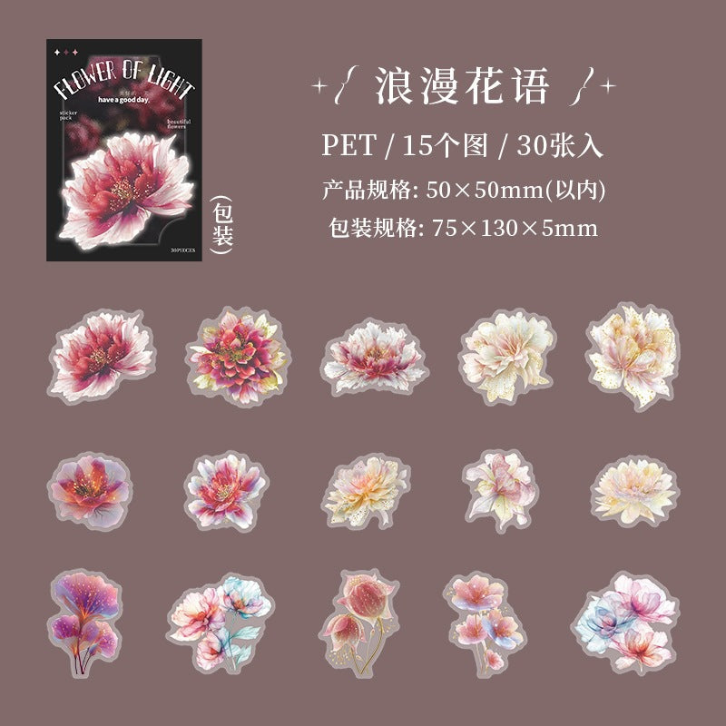 B1#21017 PET Sticker