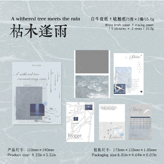 #20433 Dream Series Sticker