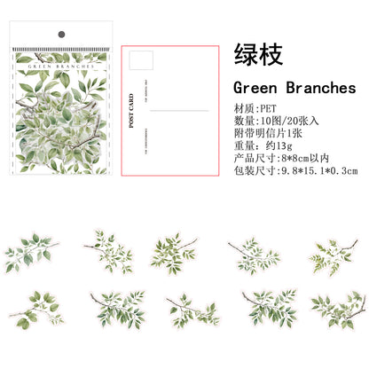 H4#20043 Branch Series Sticker