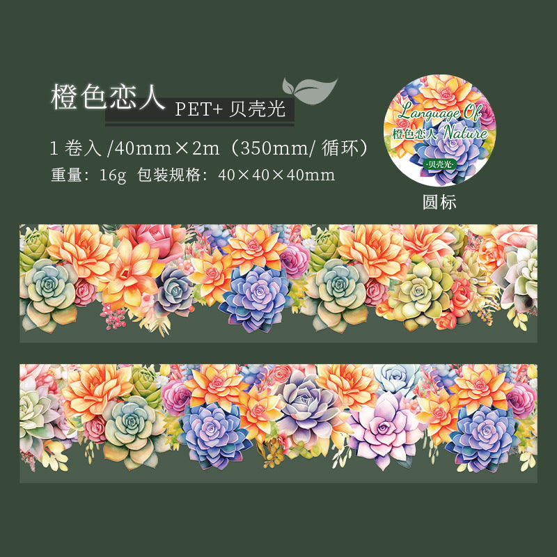 b5#30090 Regular Tape