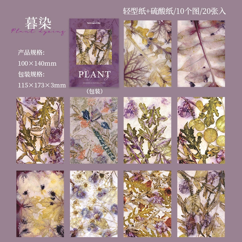 #20381 Greenery Series Paper