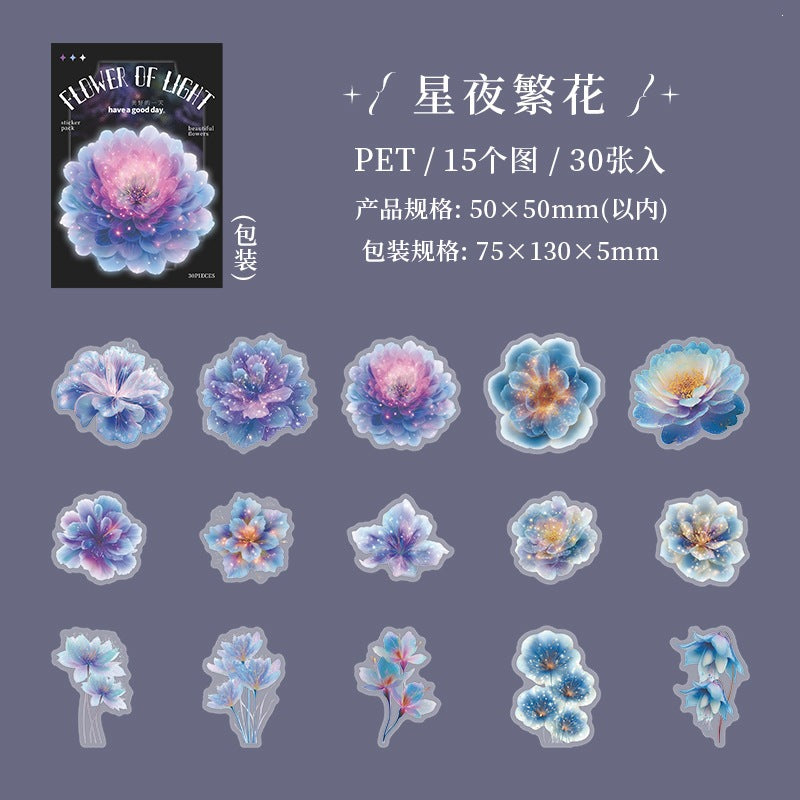 B1#21017 PET Sticker
