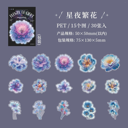 B1#21017 PET Sticker