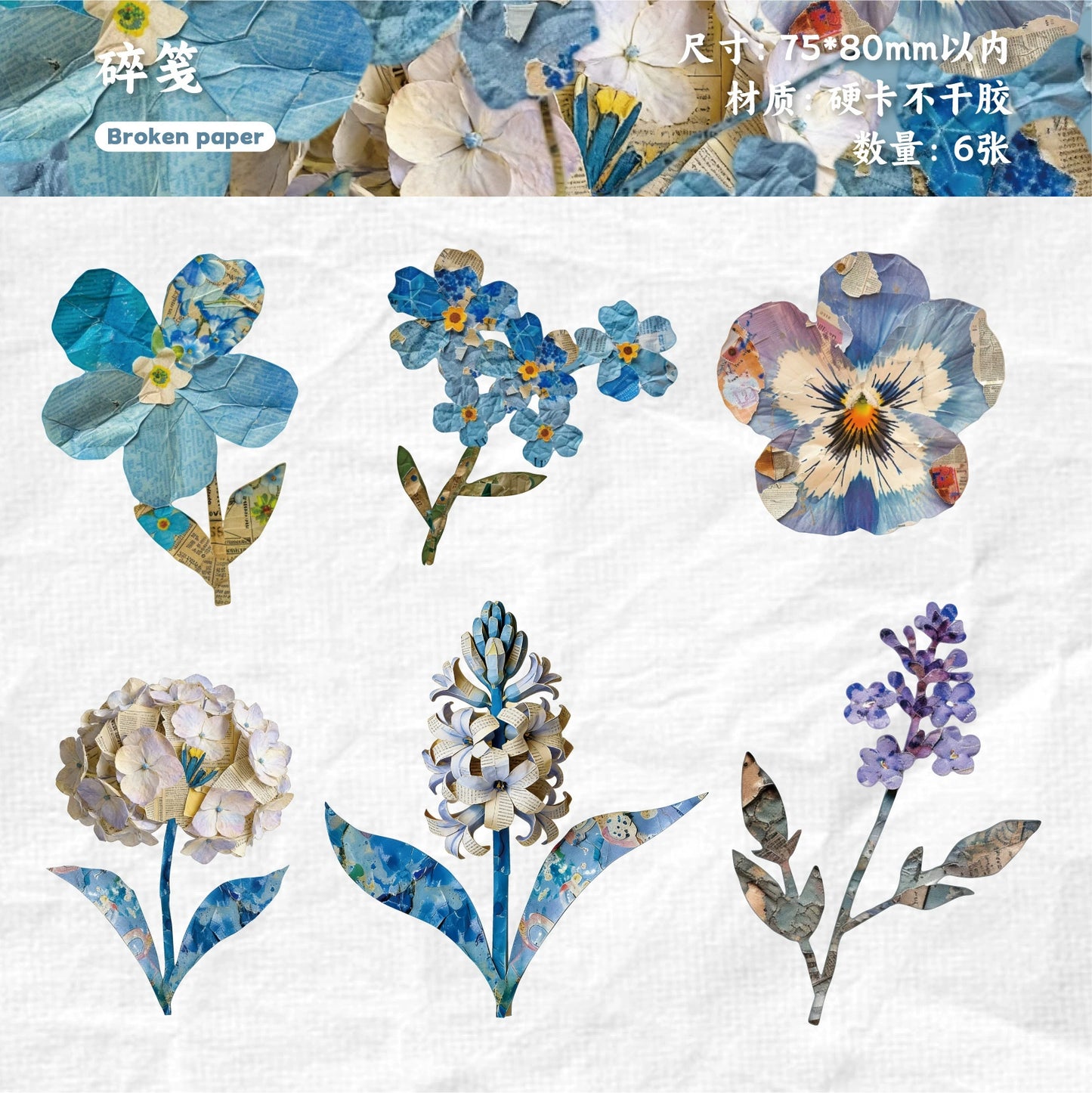 #20535 Nature Magazine Series Sticker