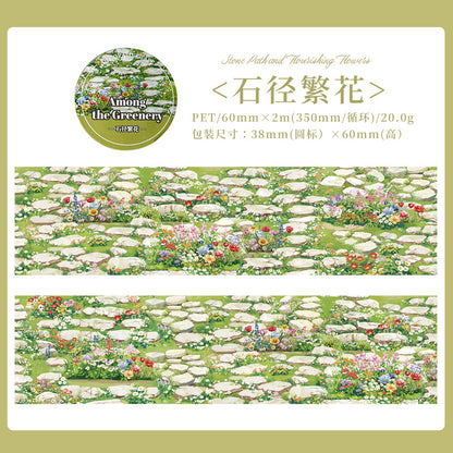 c3#30141 Regular Tape