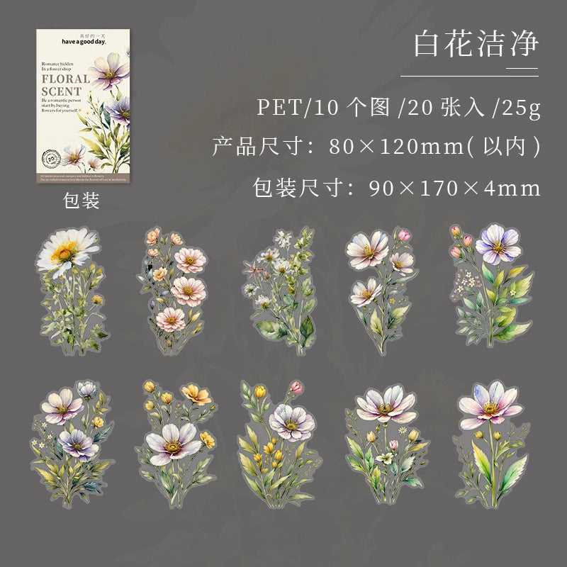 #20820 PET Sticker