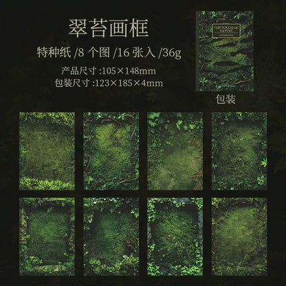 #20278 Touch of Nature Series Paper