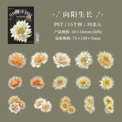 B1#21017 PET Sticker