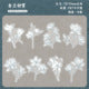 #20220 Flower Series Sticker