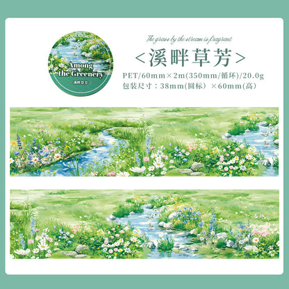 c3#30141 Regular Tape