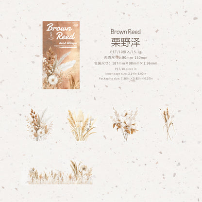 #20281 Reed Series Sticker