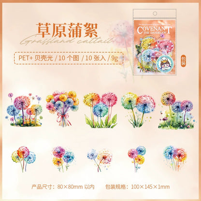 H3#02651 PET Sticker