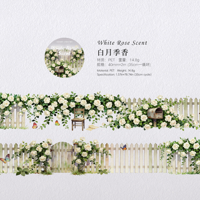 b6#30102 Regular Tape