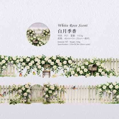b6#30102 Regular Tape